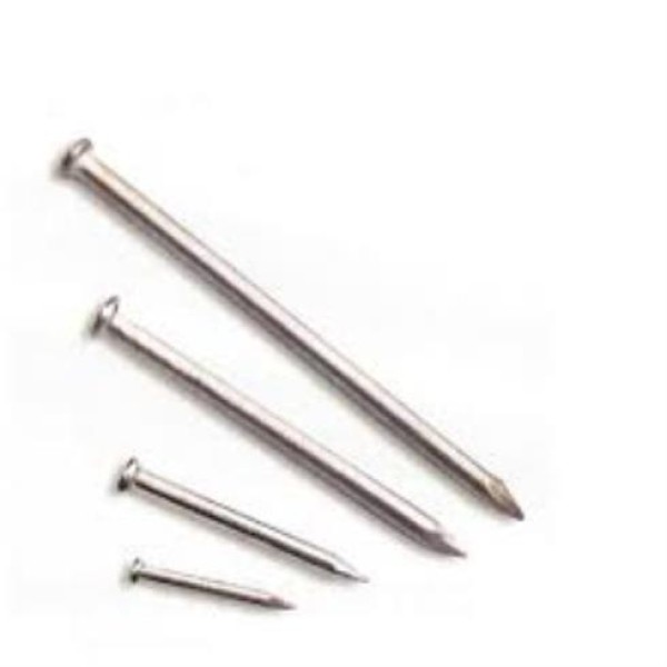 ΤΕΛΑΚΙΑ ΠΛΑΤΥΚΕΦΑΛΑ 12/50 ΤΕΛΑΚΙΑ ΠΛΑΤΥΚΕΦΑΛΑ 12/50